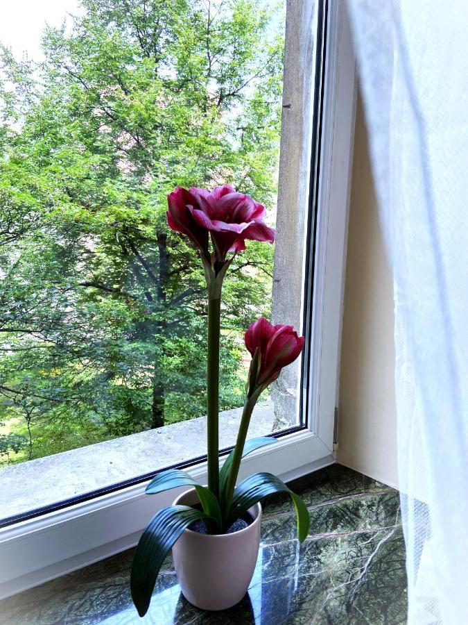 Comfort Apartment 2 Rooms 65M2 Варшава Екстер'єр фото